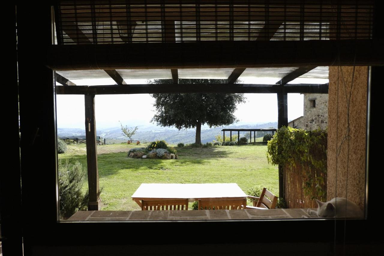 Agriturismo Poggio Monte Сатурния Екстериор снимка