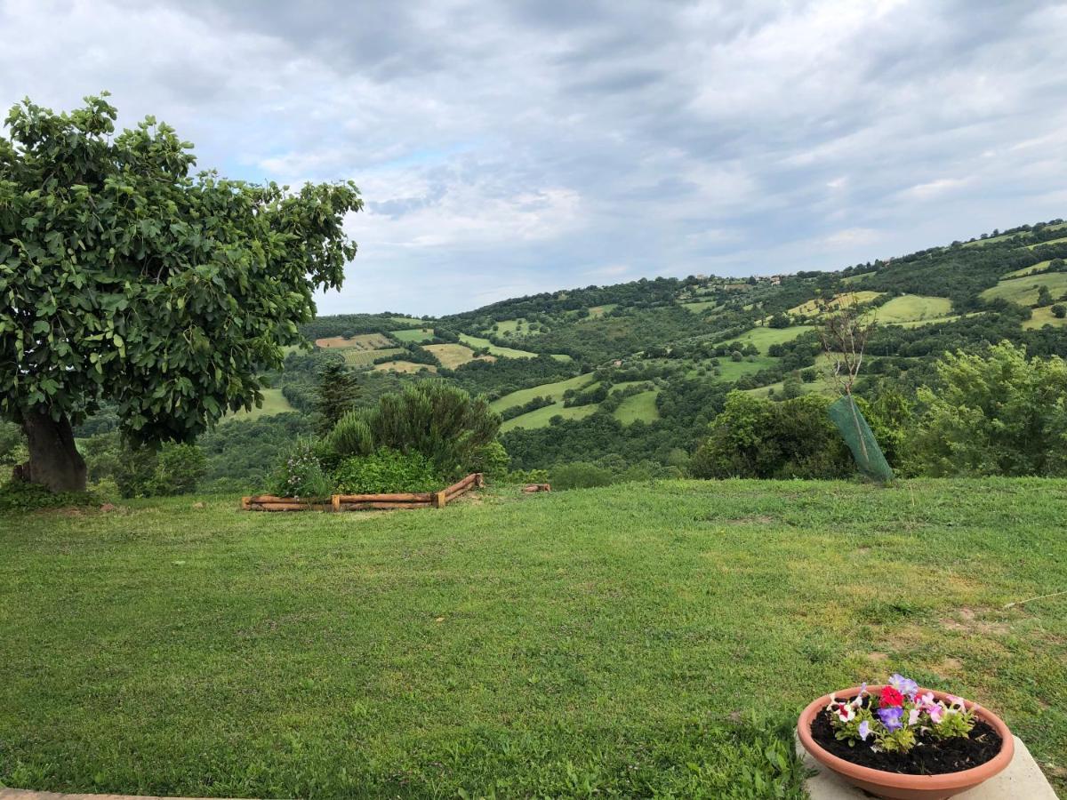 Agriturismo Poggio Monte Сатурния Екстериор снимка