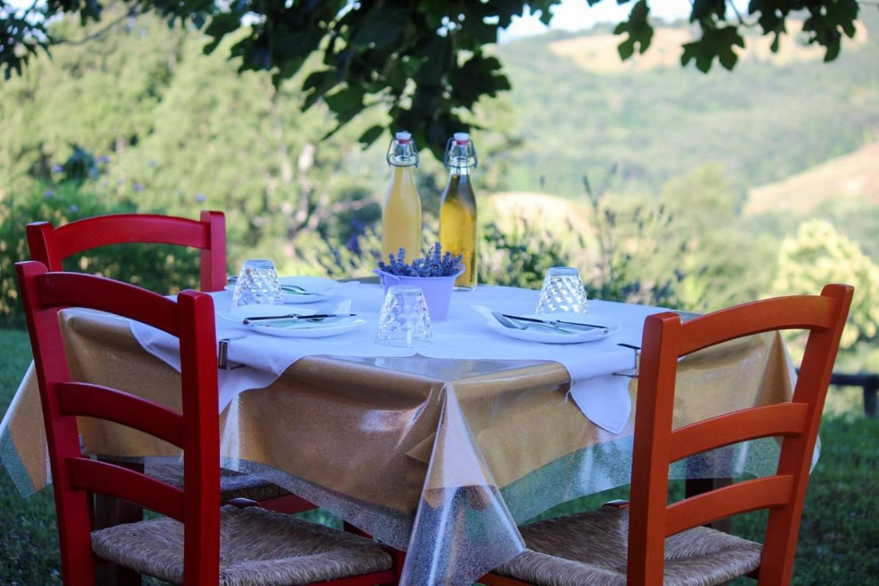 Agriturismo Poggio Monte Сатурния Екстериор снимка